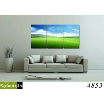 Exclusive Art vászonkép | 4853