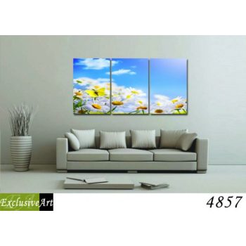 Exclusive Art vászonkép | 4857