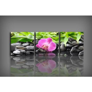 Digital Art Tree V455 vászonkép