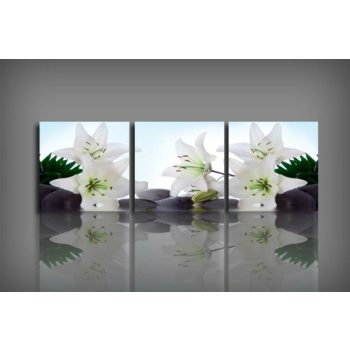 Digital Art Tree V441 vászonkép