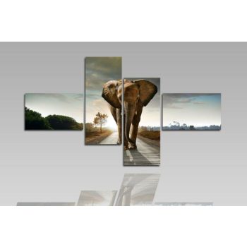 Digital Art vászonkép | 1205Q Elephant S