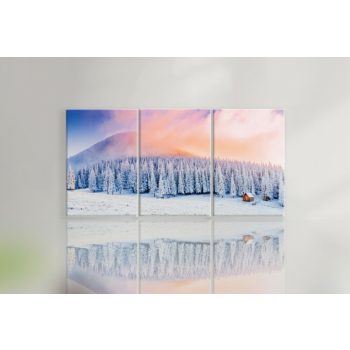 Exclusive Art vászonkép | 4920